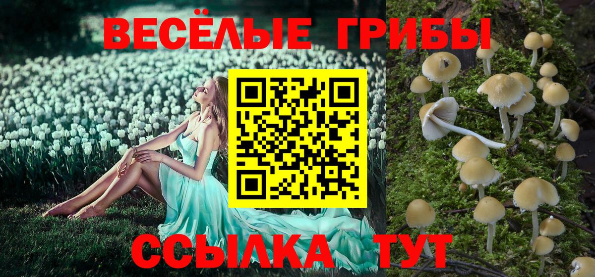 Псилоцибиновые грибы MAGIC MUSHROOMS  Вход с VPN  Волжский 